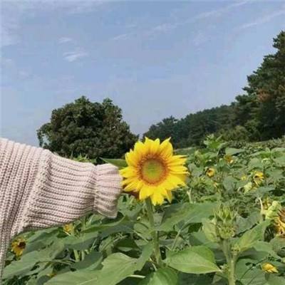 剑侠降魔游戏